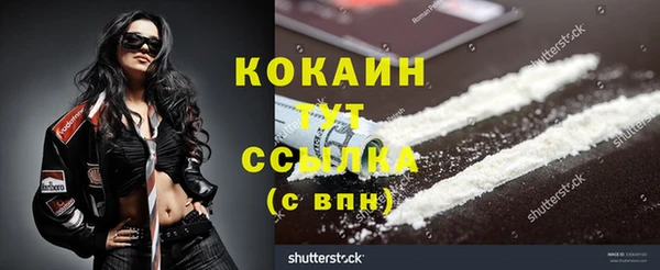 сатива Карталы
