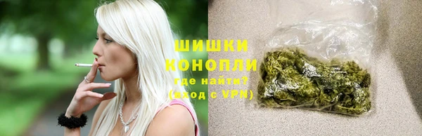 сатива Карталы