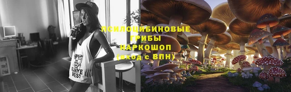 сатива Карталы