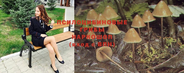 ECSTASY Киренск