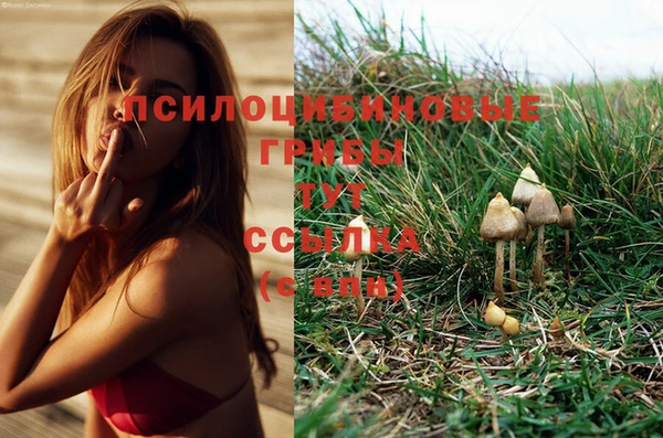 первитин Карпинск
