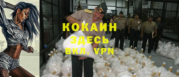 сатива Карталы