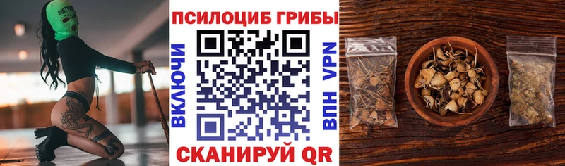 Купить  Дальнереченск  Галлюциногенные грибы мицелий 